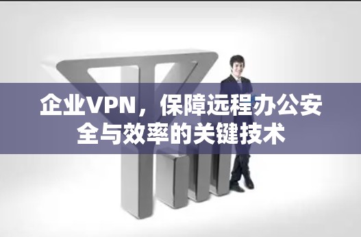 企业VPN，保障远程办公安全与效率的关键技术