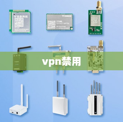 vpn禁用